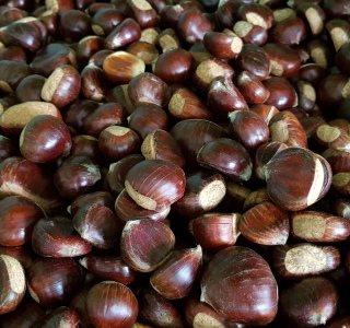 Castagne e marroni Grosso Legnami