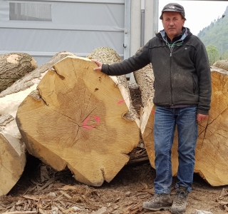 Lavorazioni legno Grosso Legnami