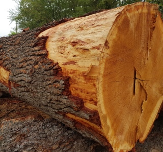 Lavorazioni legno Grosso Legnami